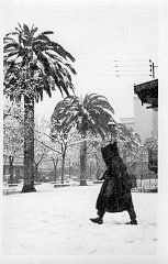 SIDI BEL ABBES 1954 SOUS LA NEIGE  (9)